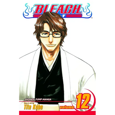 Bleach, Vol. 12: Flower on the Precipice