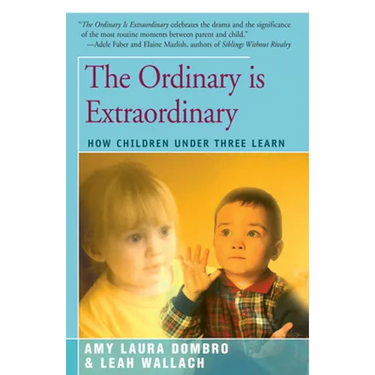 The Ordinary is Extraordinary: How Children Under Three Learn
