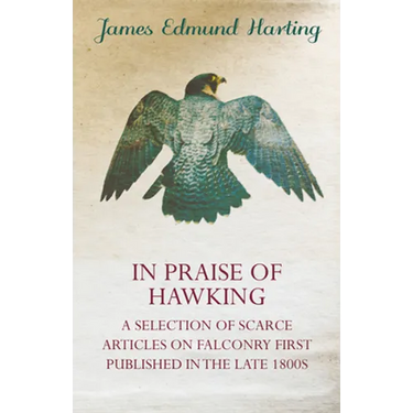 In Praise of Hawking - A Selection of Scarce Articles on Falconry First Published in the Late 1800s