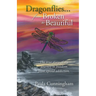 Dragonflies...From Broken to Beautiful