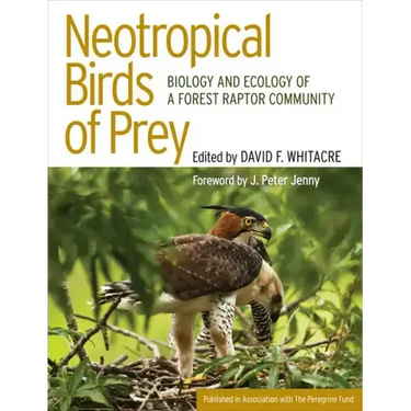 Neotropical Birds of Prey: The Origins and Evolution of No Child Left Behind