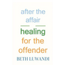 After the Affair - Healing for the Offender