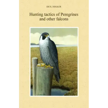 Hunting Tactics of Peregrines and other Falcons