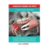 Fiddler Crabs as Pets: A Fiddler Crab Care Guide