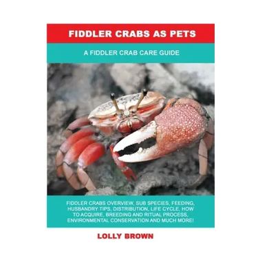 Fiddler Crabs as Pets: A Fiddler Crab Care Guide