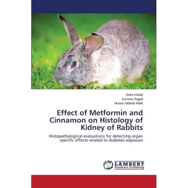 Effect of Metformin and Cinnamon on Histology of Kidney of Rabbits