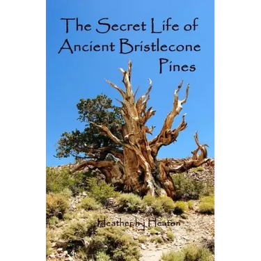 The Secret Life of Ancient Bristlecone Pines: Book One of the Secret Life Series