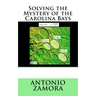 Solving the Mystery of the Carolina Bays