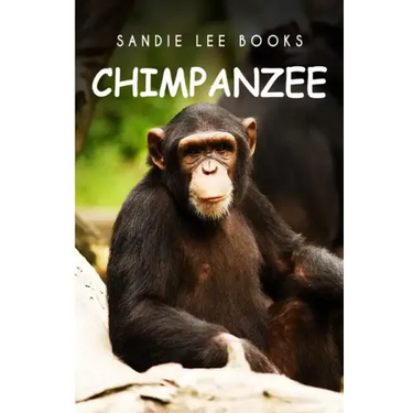 Chimpanzee - Sandie Lee Books