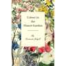 Colour in the Flower Garden