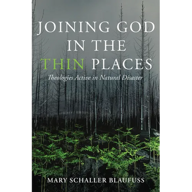 Joining God in the Thin Places: Theologies Active in Natural Disaster