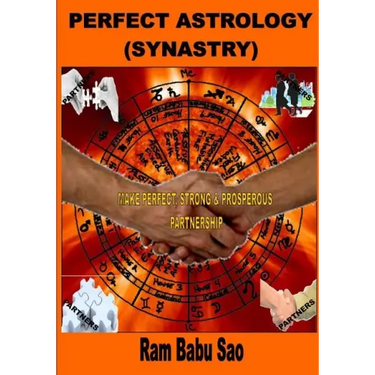 Perfect Astrology (Synastry): Partners Compatibility Astrology (Vedic)