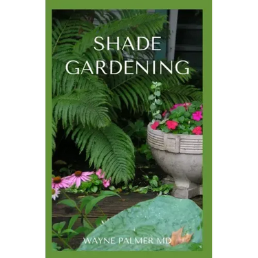 Shade Gardening: How To Plant And Grow A Garden That Lighten Up The Shadow