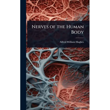 Nerves of the Human Body