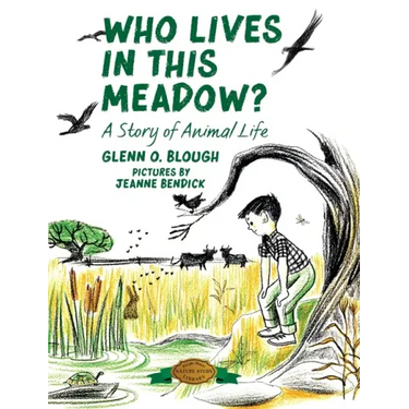 Who Lives in this Meadow?: A Story of Animal Life