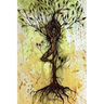 Spirituacities and other Meanderings from a Hippie Soul