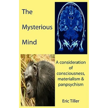 The Mysterious Mind: A consideration of consciousness, materialism & panpsychism