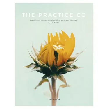 The Practice Co - Volume Three