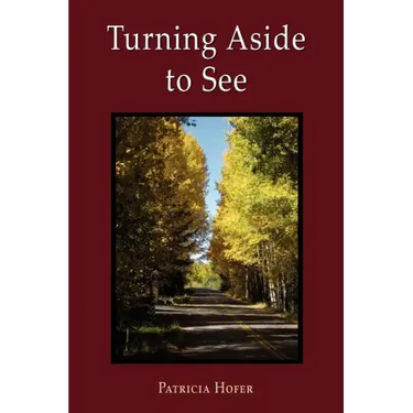 Turning Aside to See