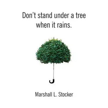 Don't Stand Under a Tree When It Rains