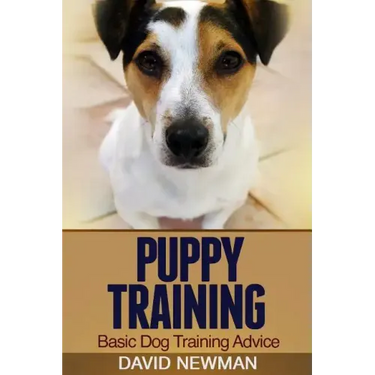 Puppy Training: Basic Dog Training Advice