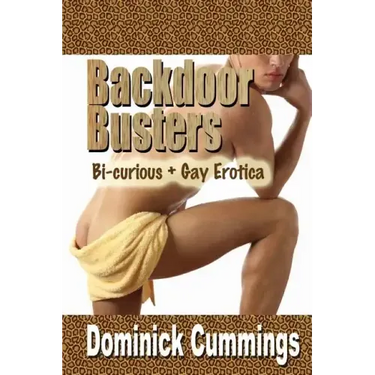 Backdoor Busters: Bi-Curious + Gay Erotica