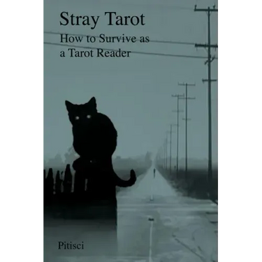 Stray Tarot: How to Survive as a Tarot Reader
