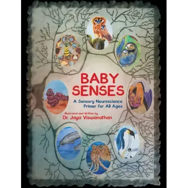 Baby Senses: A Sensory Neuroscience Primer for All Ages