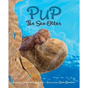 Pup the Sea Otter