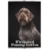 Wirehaired Pointing Griffon: Dog breed overview and guide