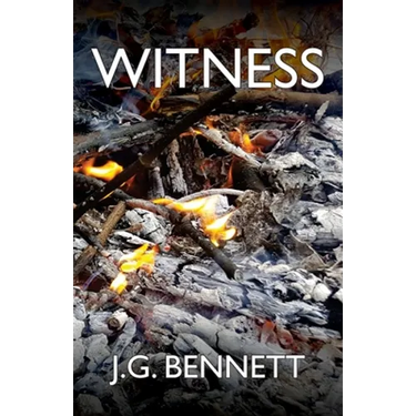 Witness: The Story of a Search
