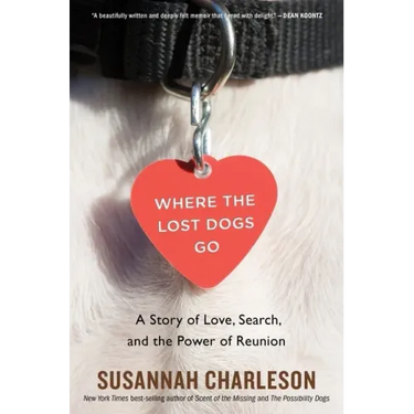Where the Lost Dogs Go: A Story of Love, Search, and the Power of Reunion