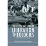 Third World Liberation Theologies