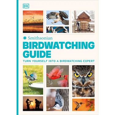 Birdwatching Guide: Turn Yourself Into a Birdwatching Expert