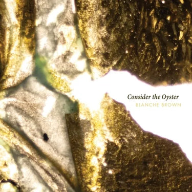 Consider the Oyster