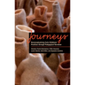 Journeys: Reconceptualizing Early Childhood Practices Through Pedagogical Narration