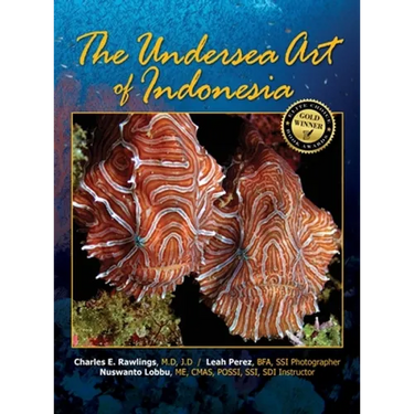 The Undersea Art of Indonesia