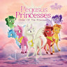 Pegasus Princesses Volume 1: Order of the Princesses