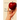 The Paraprofessional