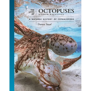 The Lives of Octopuses and Their Relatives: A Natural History of Cephalopods