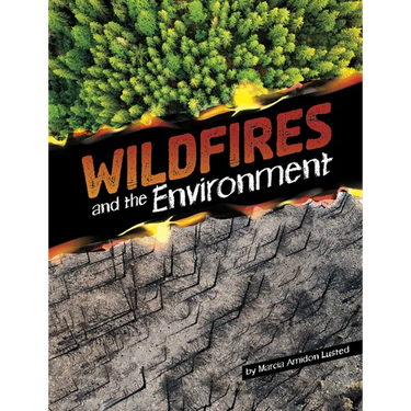 Wildfires and the Environment