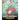 Happy Birthday, Dragon!: Celebrate The Perfect Birthday For Your Dragon. A Cute and Fun Children Story To Teach Kids To Celebrate Birthday.