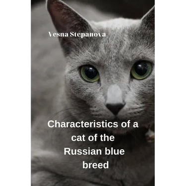 Characteristics of a Cat of the Russian Blue Breed