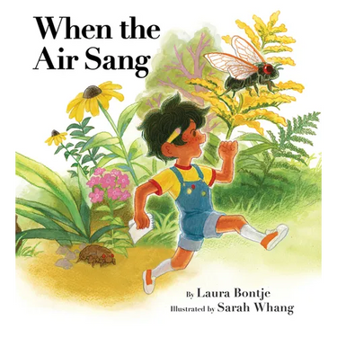 When the Air Sang
