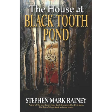The House at Black Tooth Pond