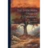 The Evergreen Trees Of Colorado