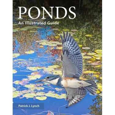 Ponds: An Illustrated Guide