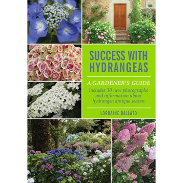 Success With Hydrangeas: A Gardener's Guide