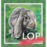 Lop Felt Worried