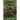 Flashman's Escape